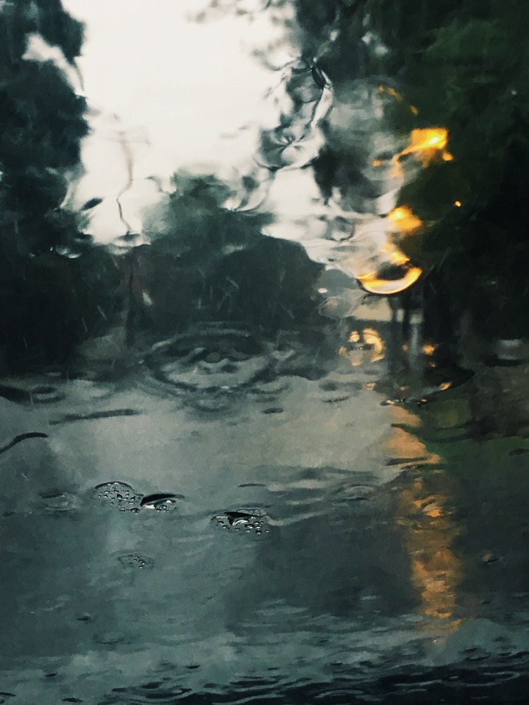 Processed with VSCO with g3 preset