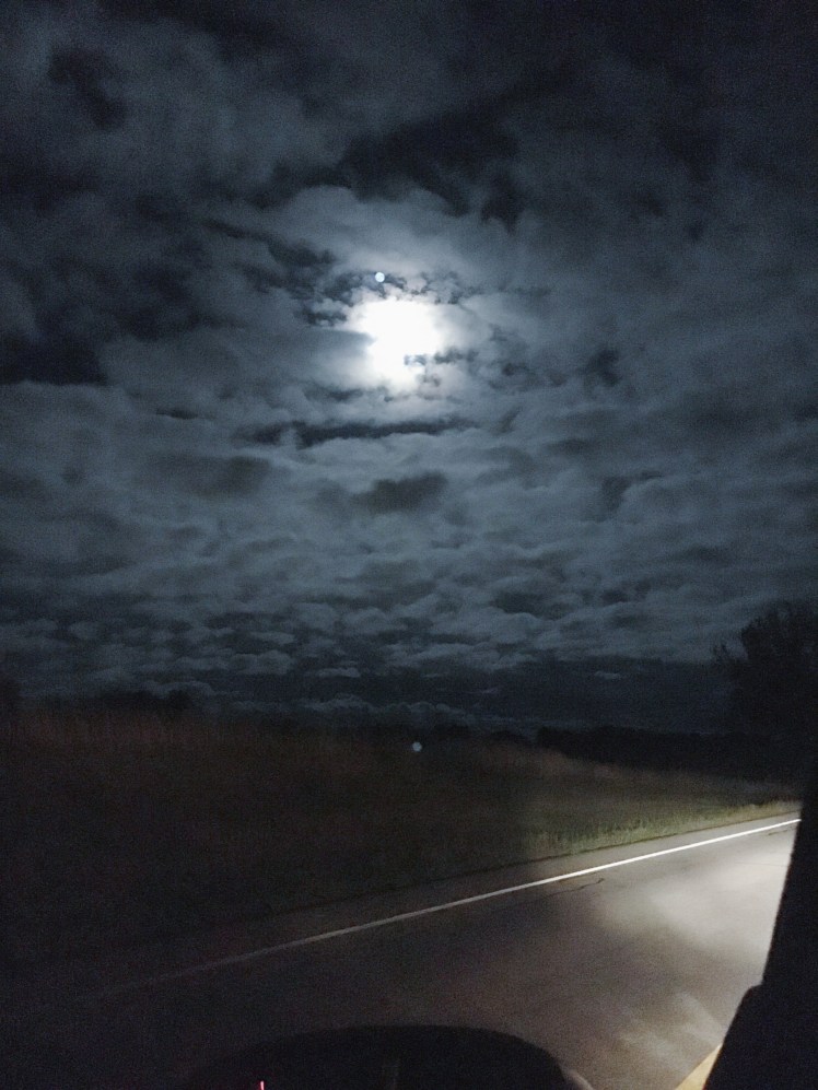 Processed with VSCO with f2 preset