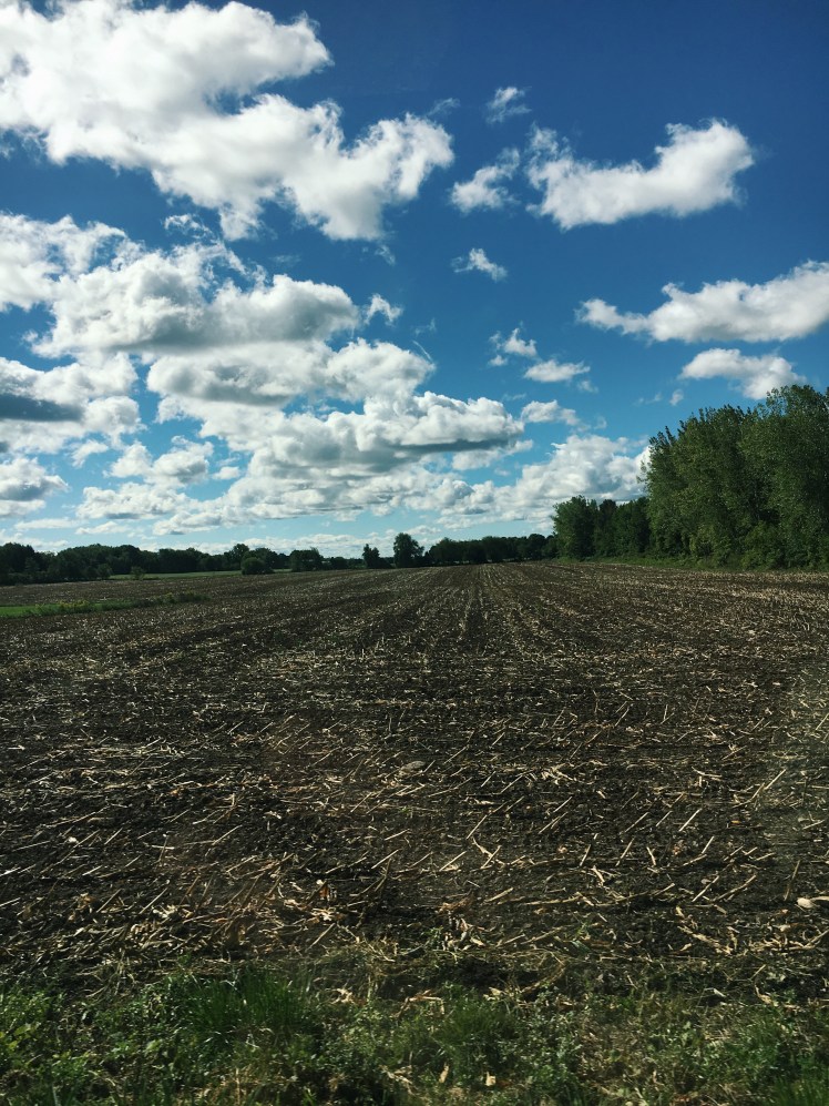 Processed with VSCO with c1 preset