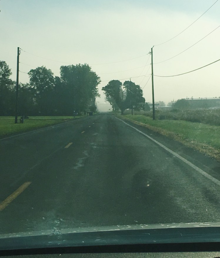 Processed with VSCO with c1 preset