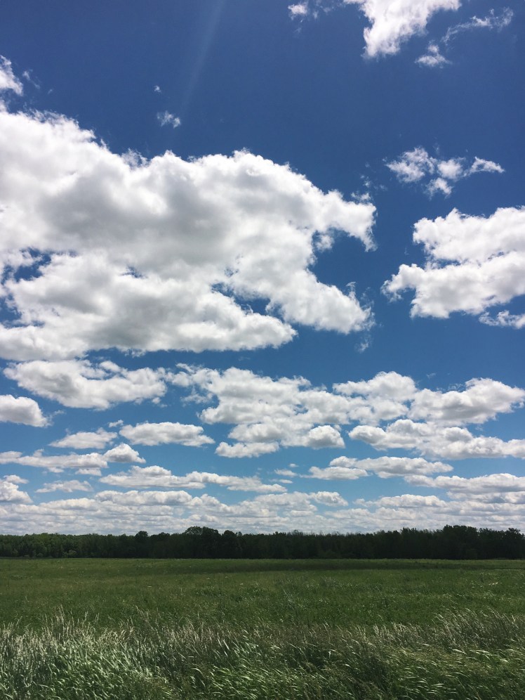 Processed with VSCO with c1 preset